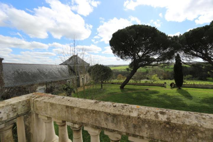 Vignoble Château Piéguë - winery Bed and Breakfast Rochefort-sur-Loire Exterior foto